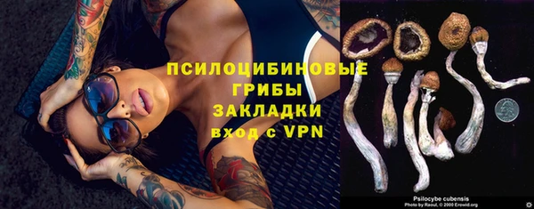 эйфоретик Михайловка