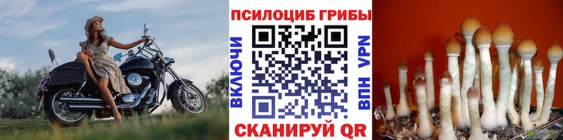 как найти   Томмот  Галлюциногенные грибы MAGIC MUSHROOMS 
